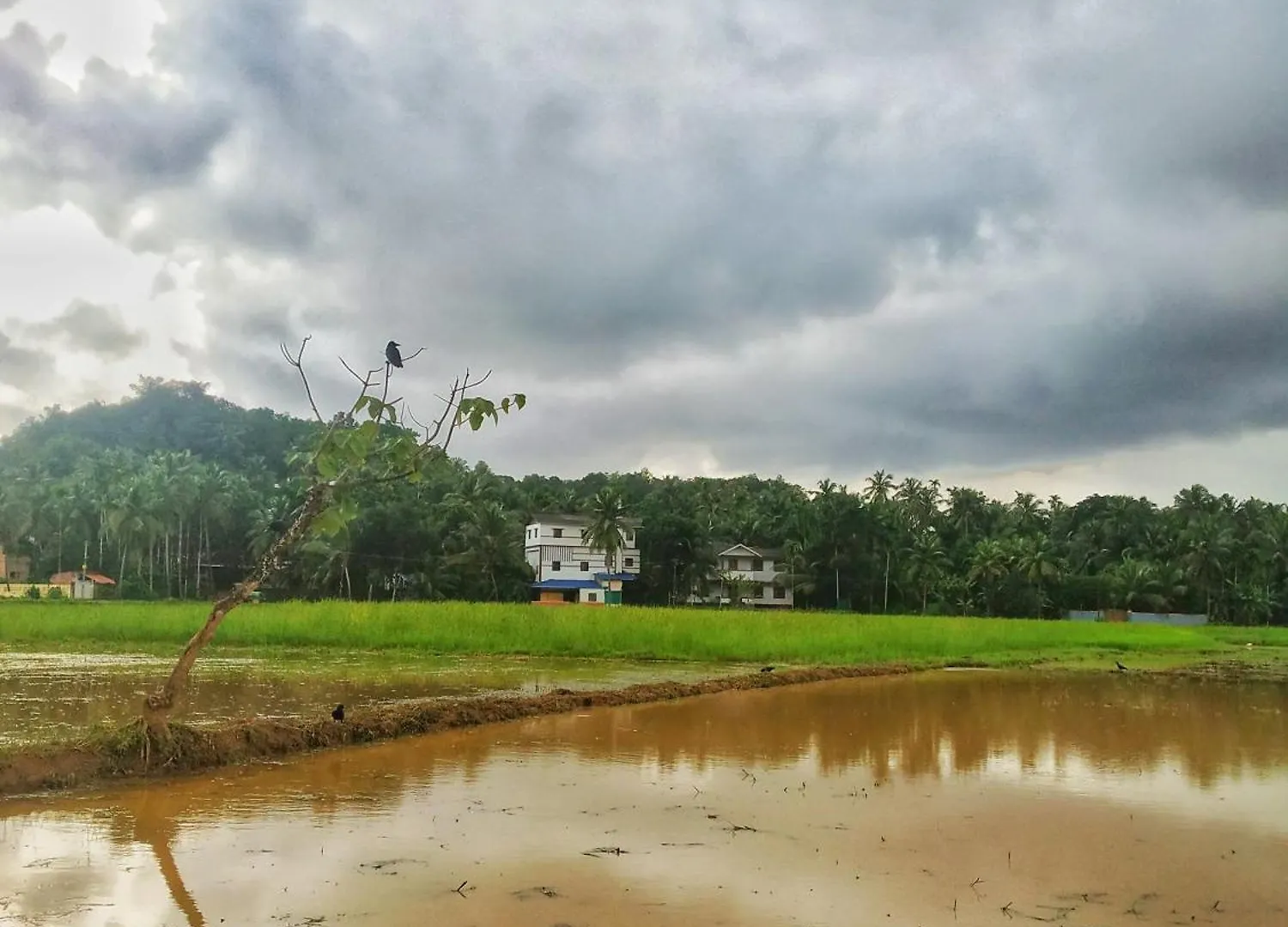 Kondotty Casita Greens בית אירוח